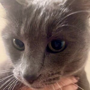 Meet your Posher, Mia